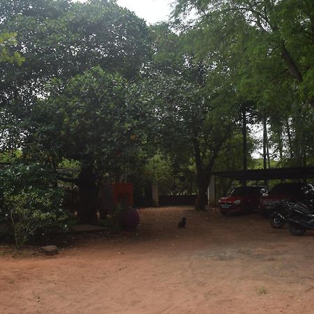 Travellers Crib Hotell Auroville Eksteriør bilde