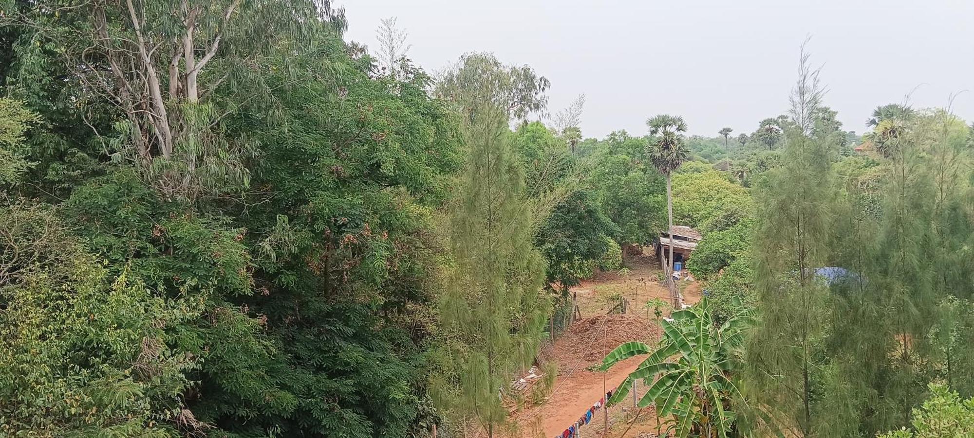Travellers Crib Hotell Auroville Eksteriør bilde