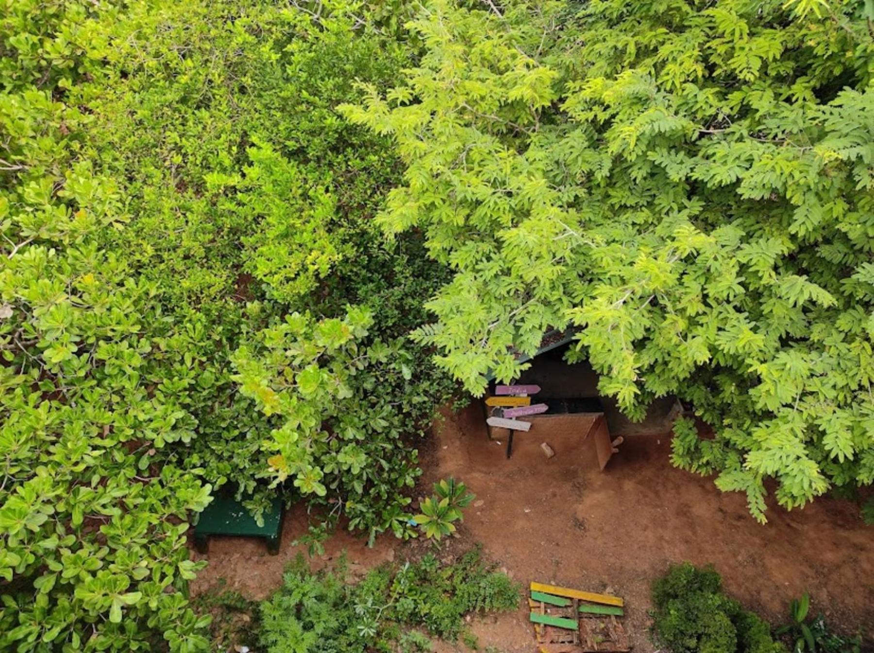 Travellers Crib Hotell Auroville Eksteriør bilde