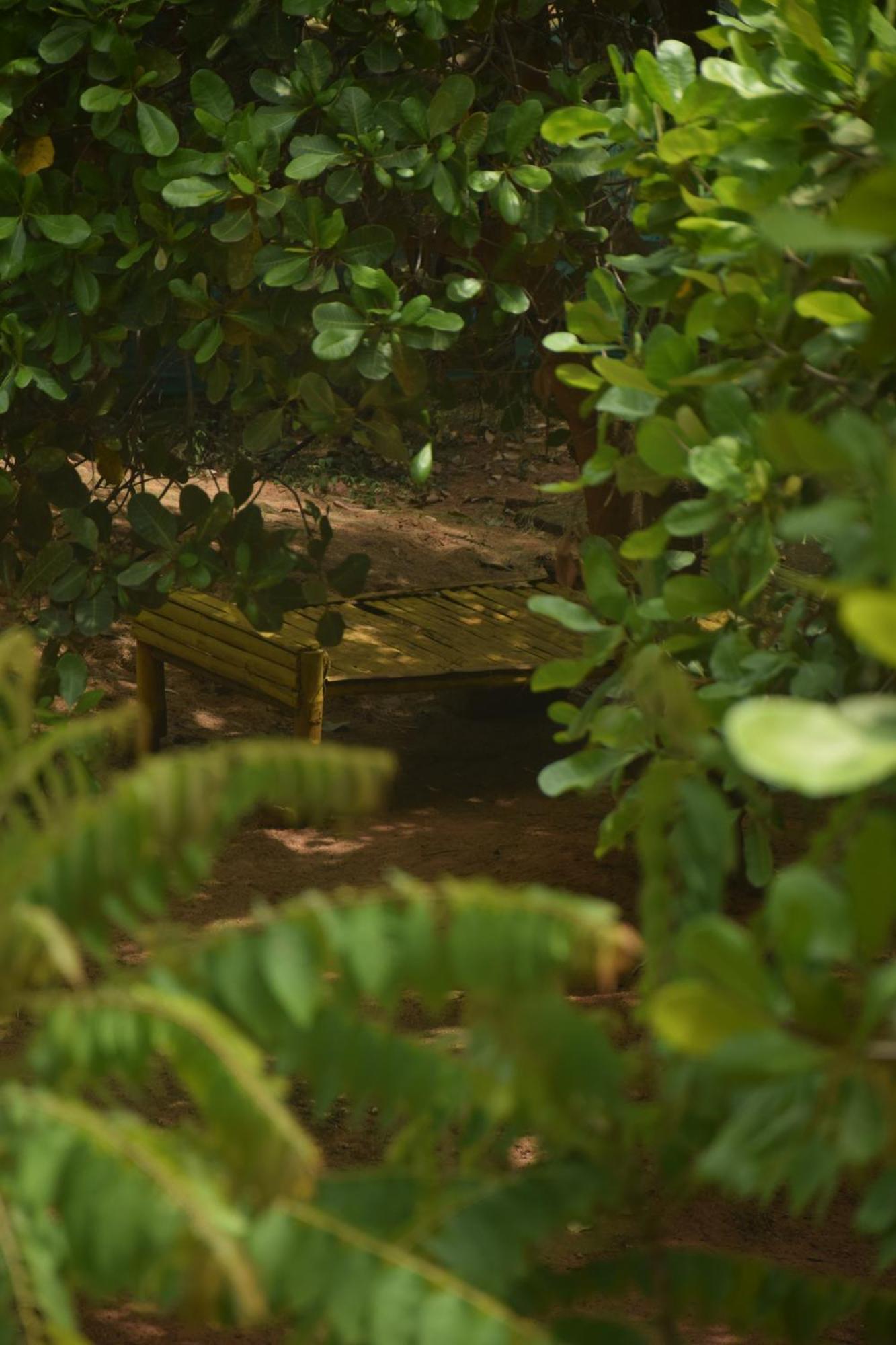 Travellers Crib Hotell Auroville Eksteriør bilde