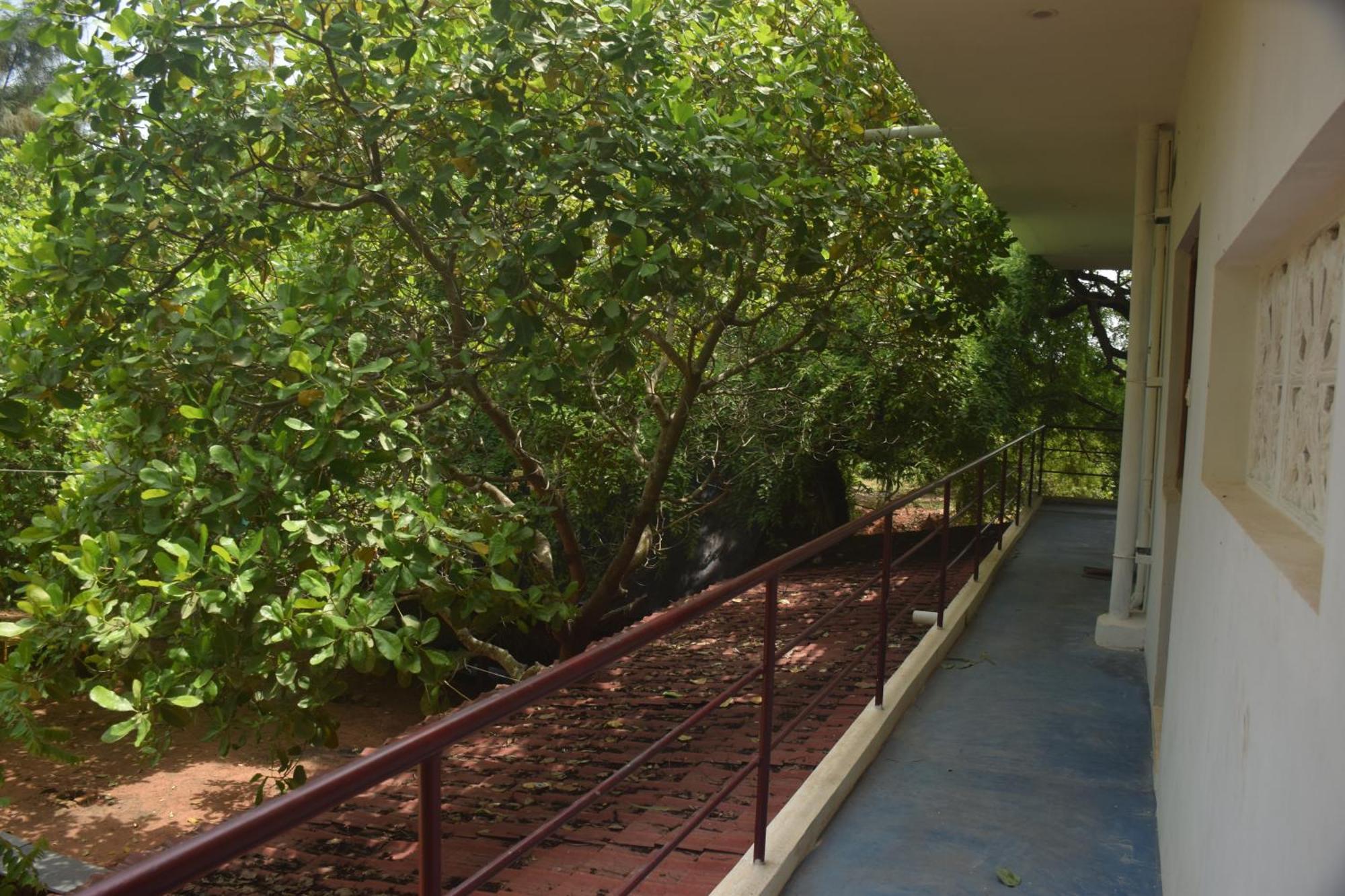 Travellers Crib Hotell Auroville Eksteriør bilde