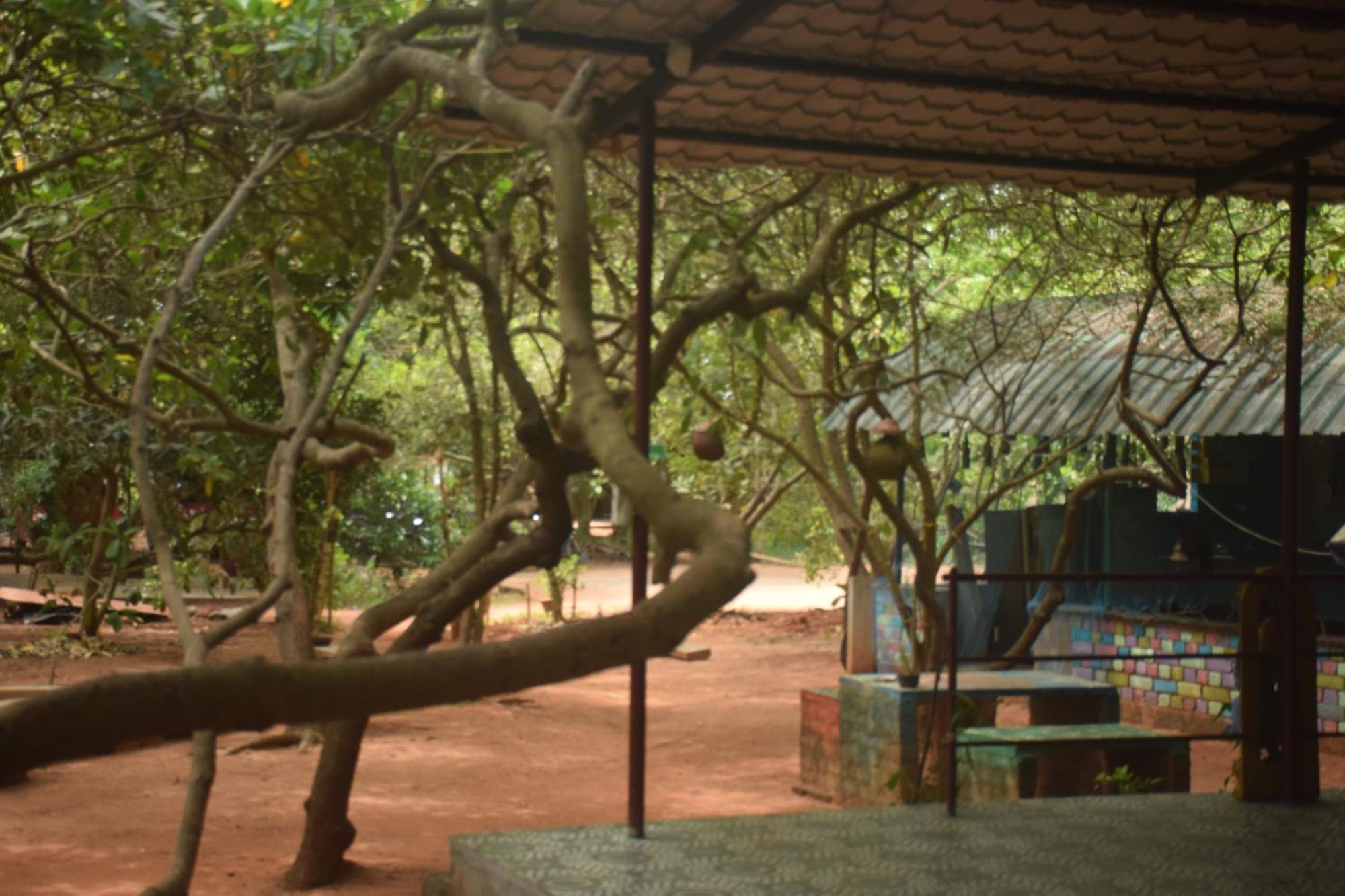 Travellers Crib Hotell Auroville Eksteriør bilde