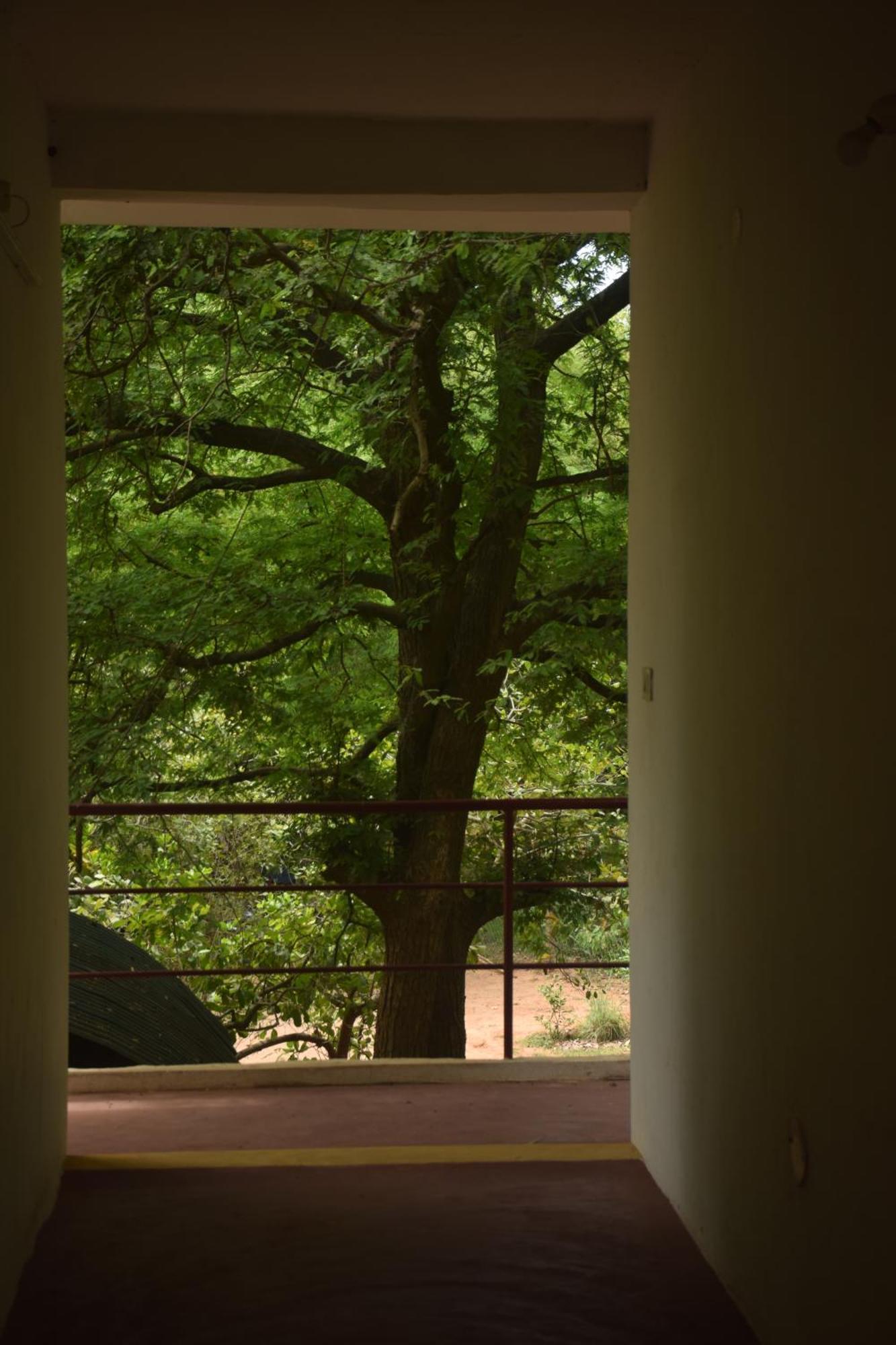 Travellers Crib Hotell Auroville Eksteriør bilde