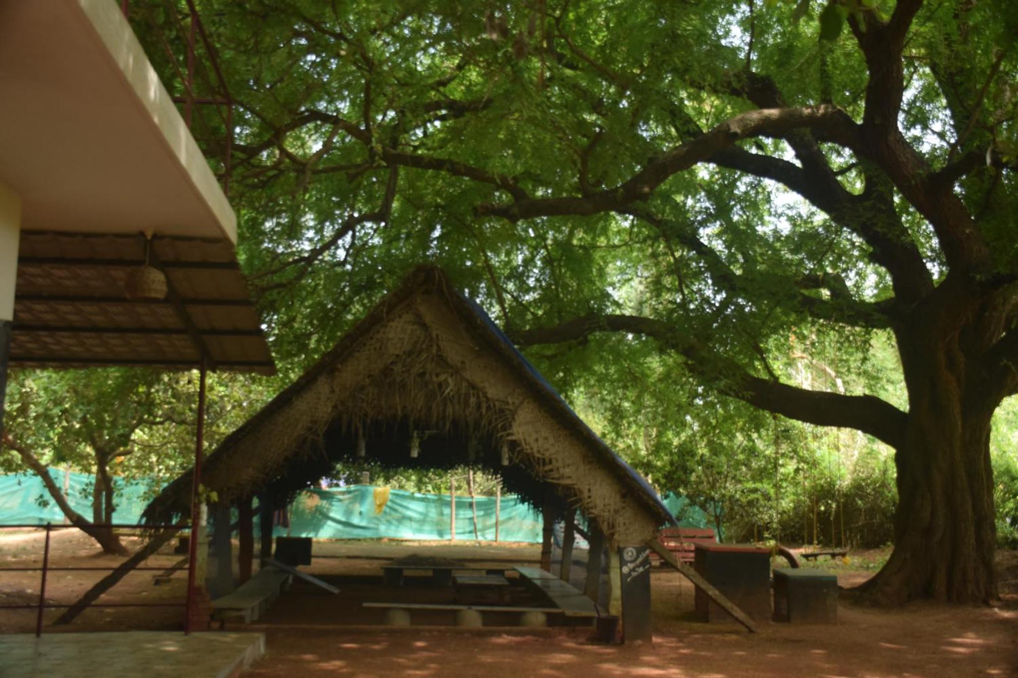 Travellers Crib Hotell Auroville Eksteriør bilde